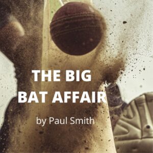 THE BIG BAT AFFAIR