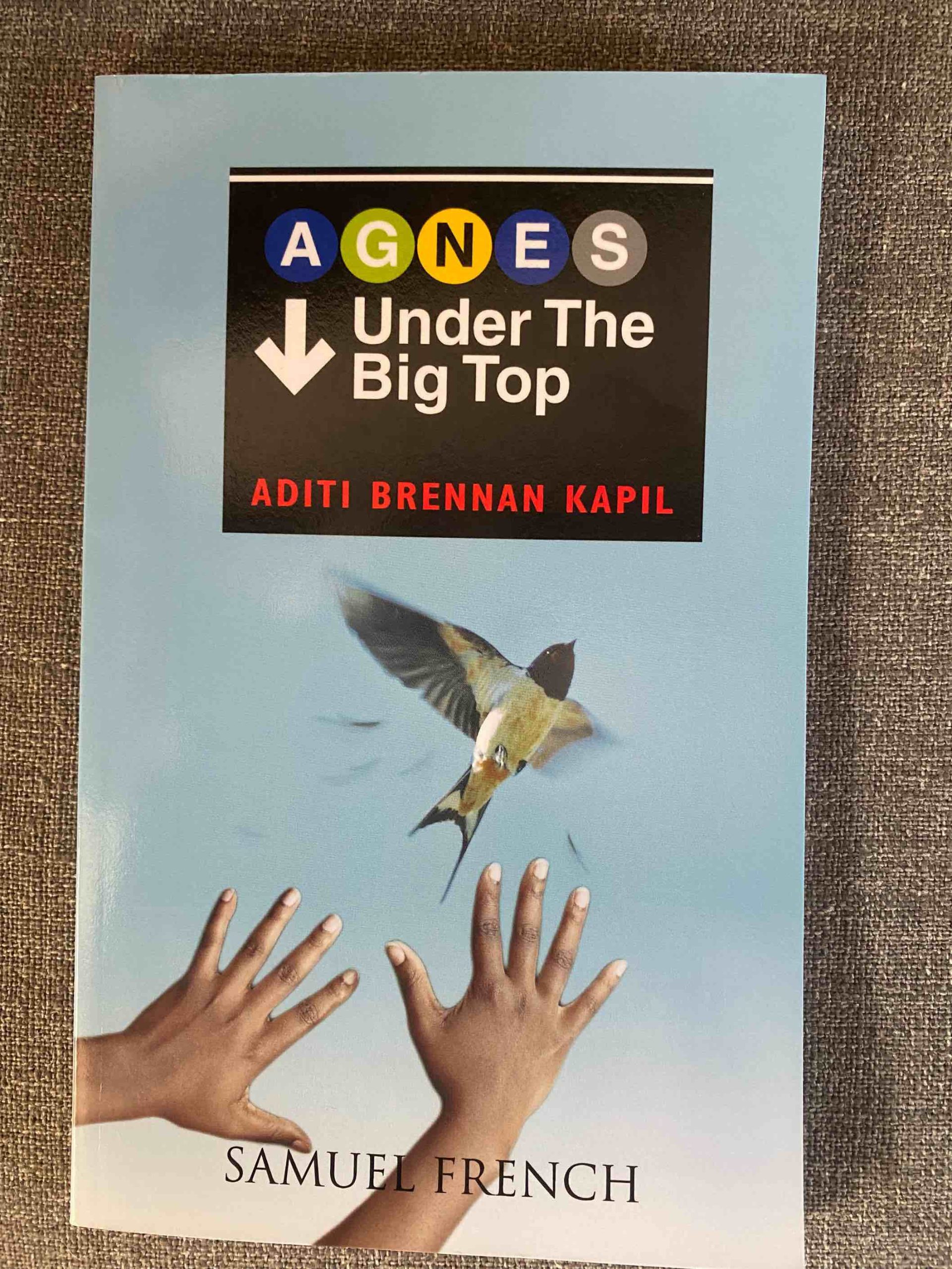 AGNES UNDER THE BIG TOP by Aditi Brennan Kapil