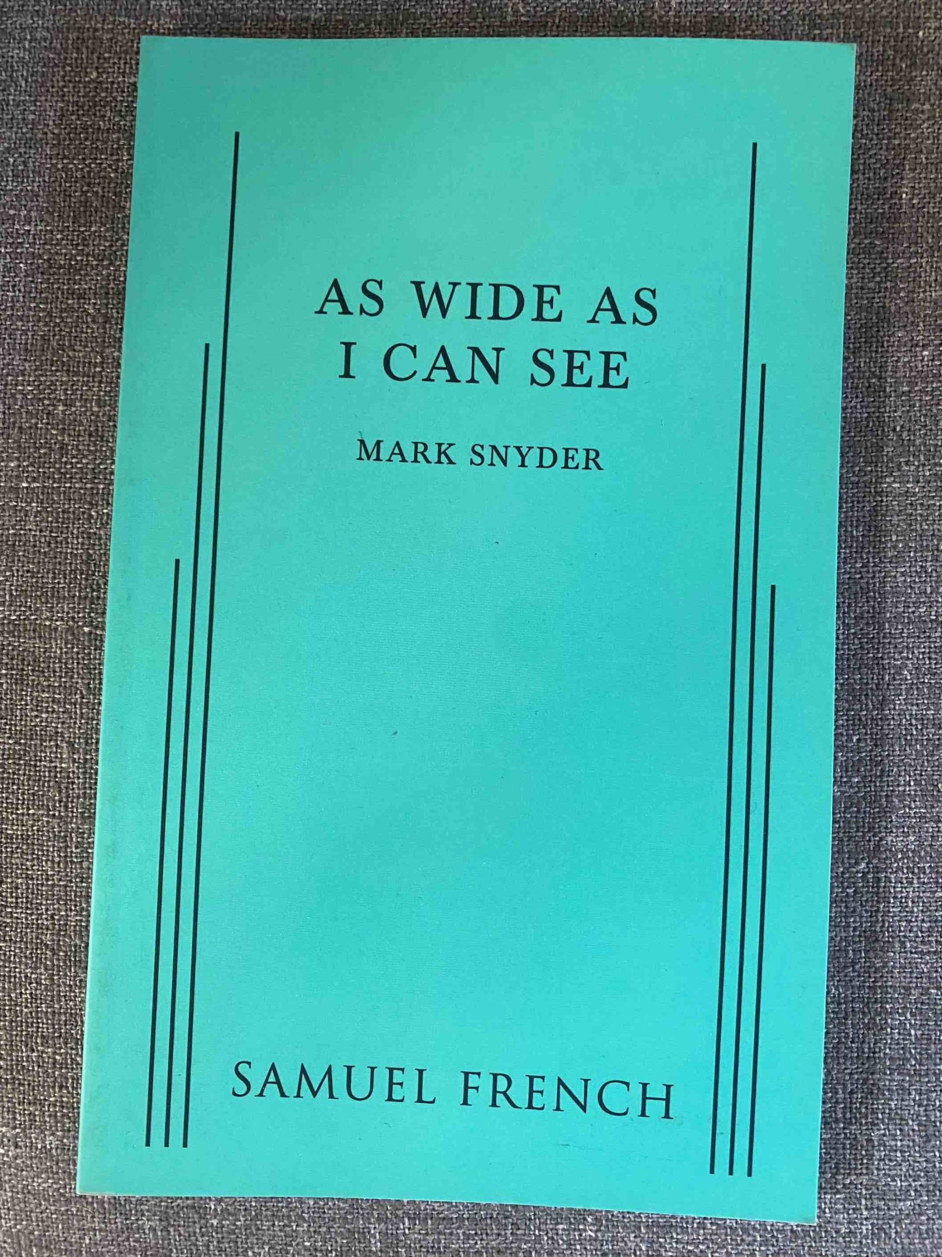AS WIDE AS I CAN SEE by Mark Snyder