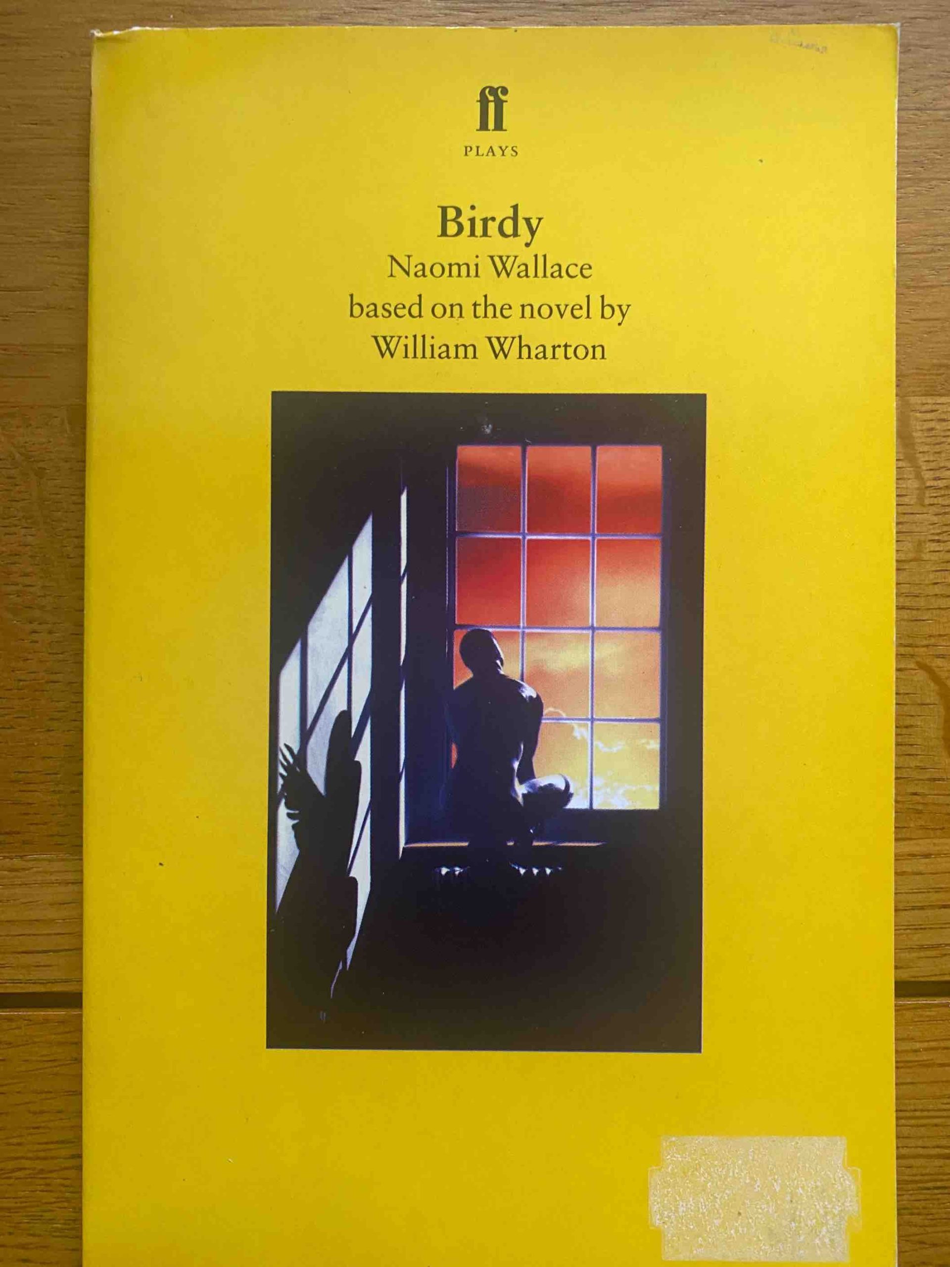 BIRDY by William Wharton, adapted by Naomi Wallace