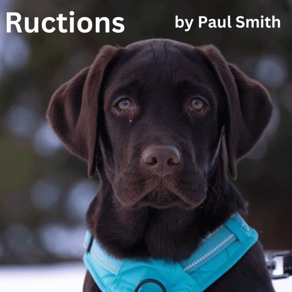 RUCTIONS by Paul Smith