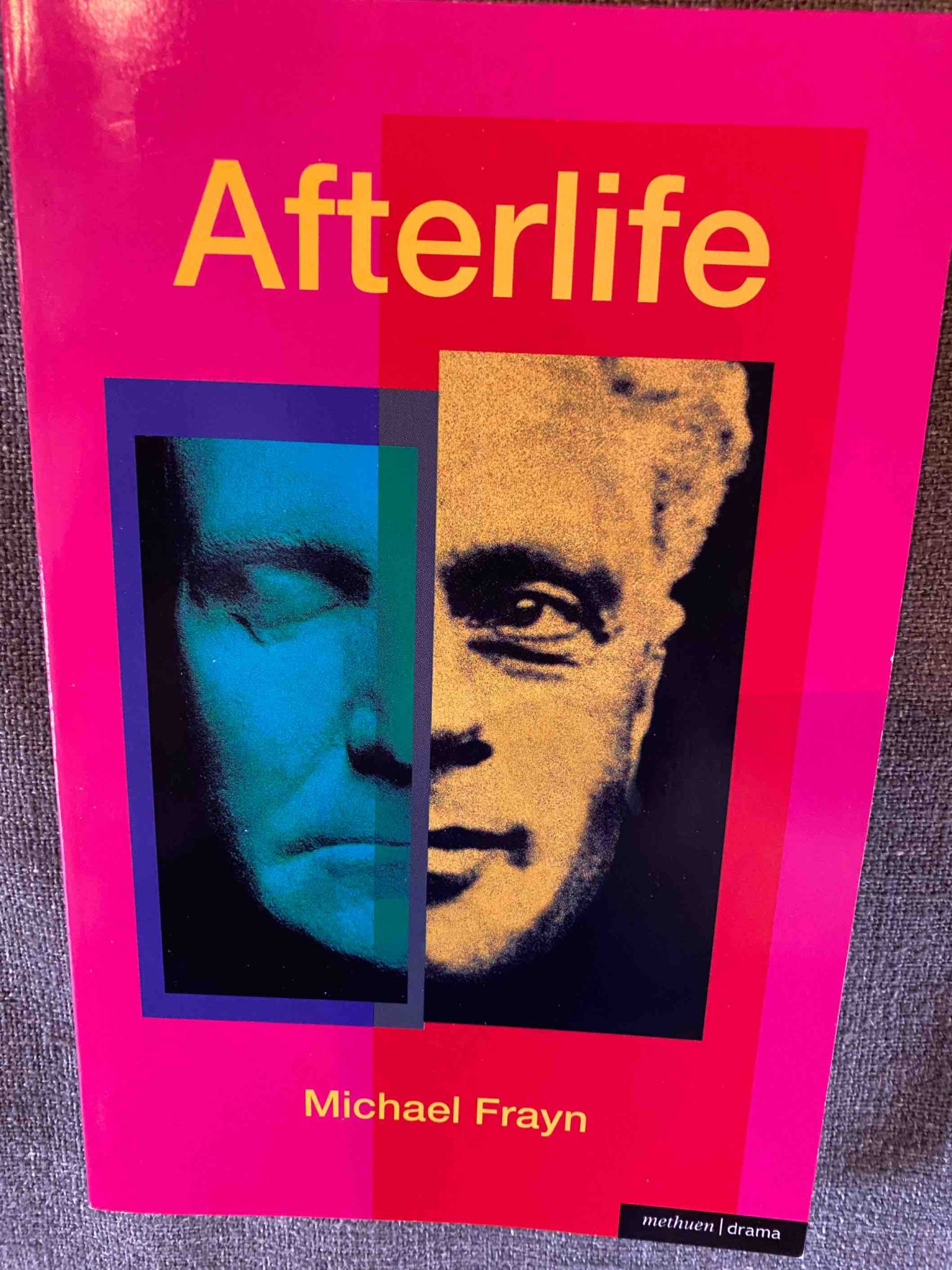 AFTERLIFE by Michael Frayn