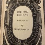 JOB FOR THE BOY by Dennis Driscoll