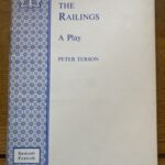 RATTLING THE RAILINGS by Peter Terson