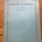WINTER SUNSHINE by G A Thomas