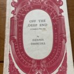 OFF THE DEEP END by Dennis Driscoll