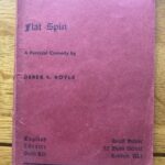 FLAT SPIN by Derek S Royle